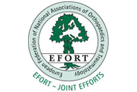 efort_logo[1]